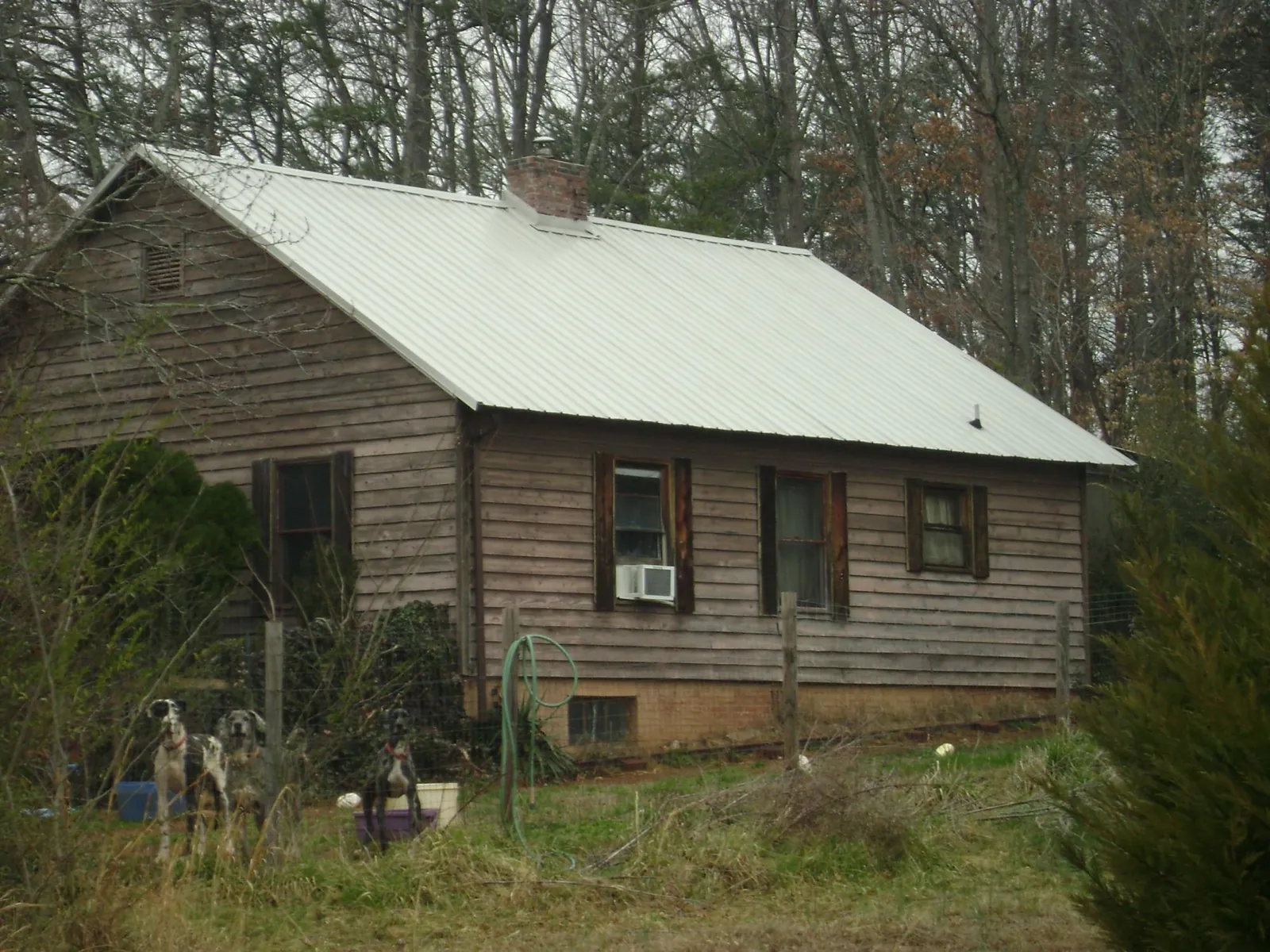 White metal roof on an old wood sided farmhouse, from a Asphalt Shingle Roof Repair job in Kaneohe